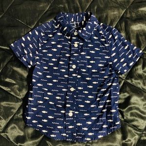 Toddler Boy Button Down Shirt